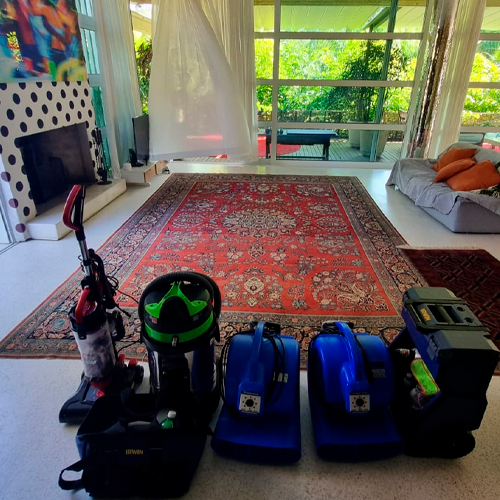 Higienização de Tapete